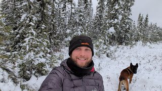 Episode 8 - Winter Maintenance Begins & Snowy Dog Walks ❄️ ⛄ 🐾