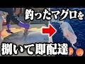 捌いたマグロを流してみた。