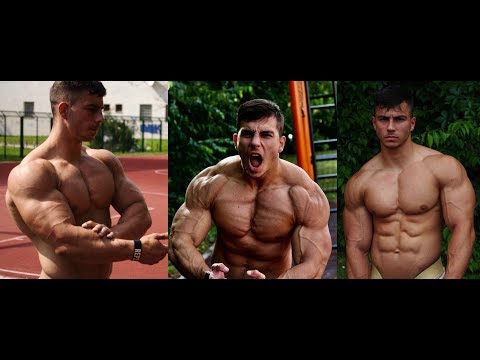 WORKOUT MOTIVATION / MONSTER DEJAN STIPKE 2018!