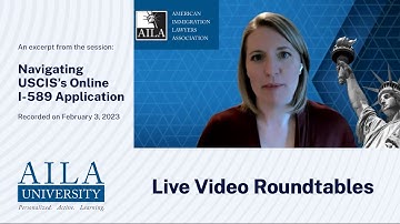 Brief Overview of Filing an I-589 Application Online