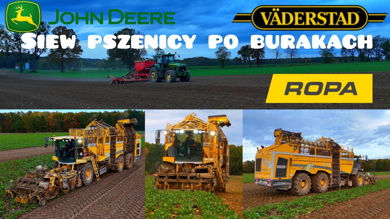 Akcja burak cukrowy | Siew pszenicy | #ropa #johndeere #vaderstad 