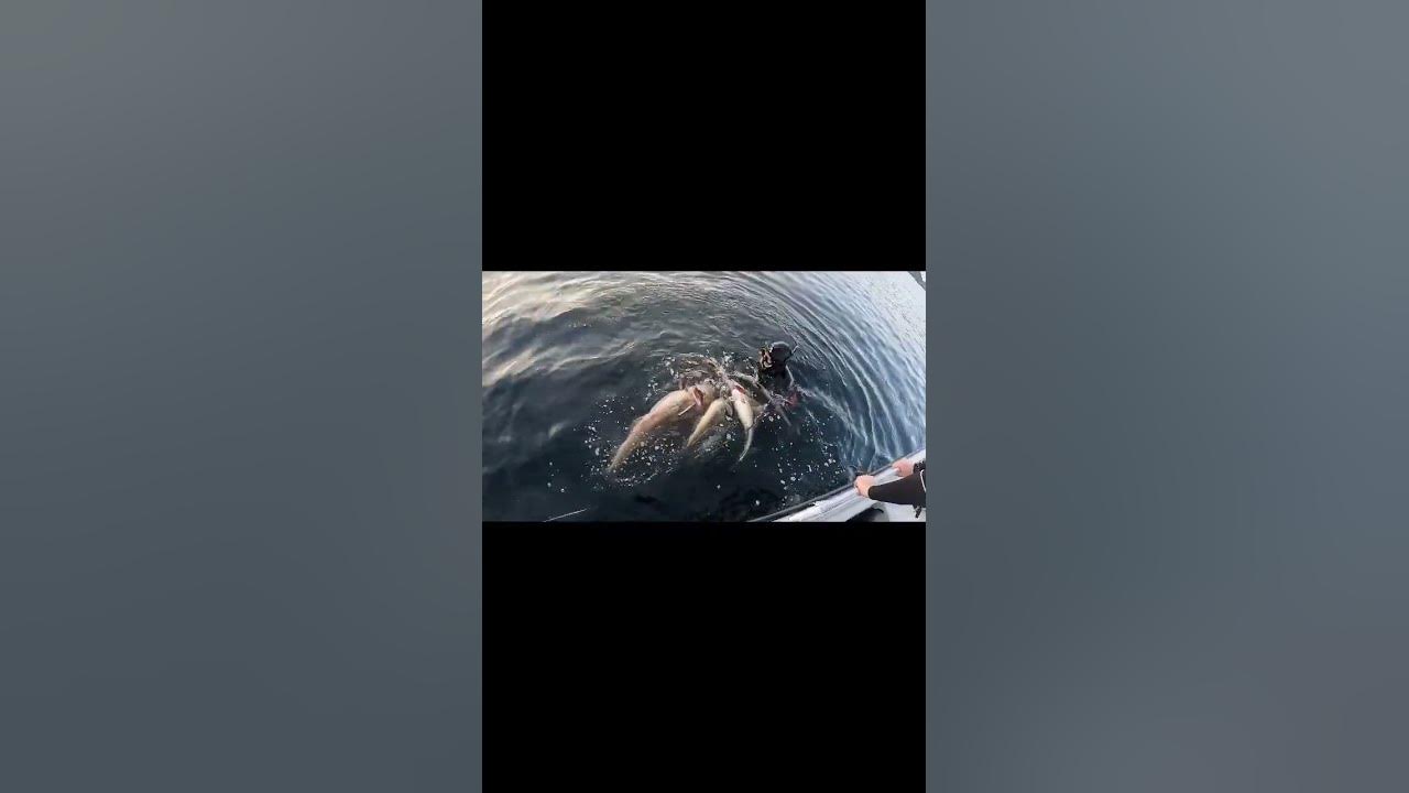 Каникулы Мортен на рыбалке Северная Норвегия