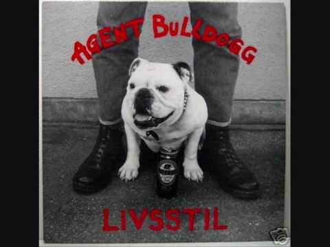 Video: Bulldogmaur: livsstil og atferdsmønstre