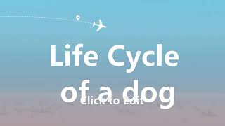 Dog's life cycle