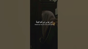 قران كريم يريح القلب#اكسبلور #قرآن #محمد_اللحيدان #المصحف #دويتو #لايك