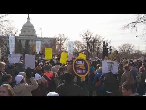 Vídeo: Juiz Ordena Que Trump Reative O DACA