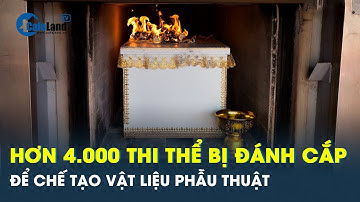 Chấn động Trung Quốc: Hơn 4.000 thi thể người bị đánh cắp để chế tạo vật liệu xương | Cafeland