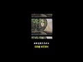 Downt - 111511 (한글 번역)