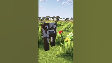What if Minecraft Had Better Animations?