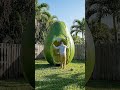 I Turned an Avocado Into a Cozy Room 🥑😳 #shorts #timelapse #handmade #satisfying