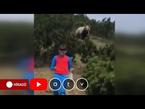 Videó: A 11 éves Fiú és Szülei Egy Vulkánban Halt Meg Olaszországban