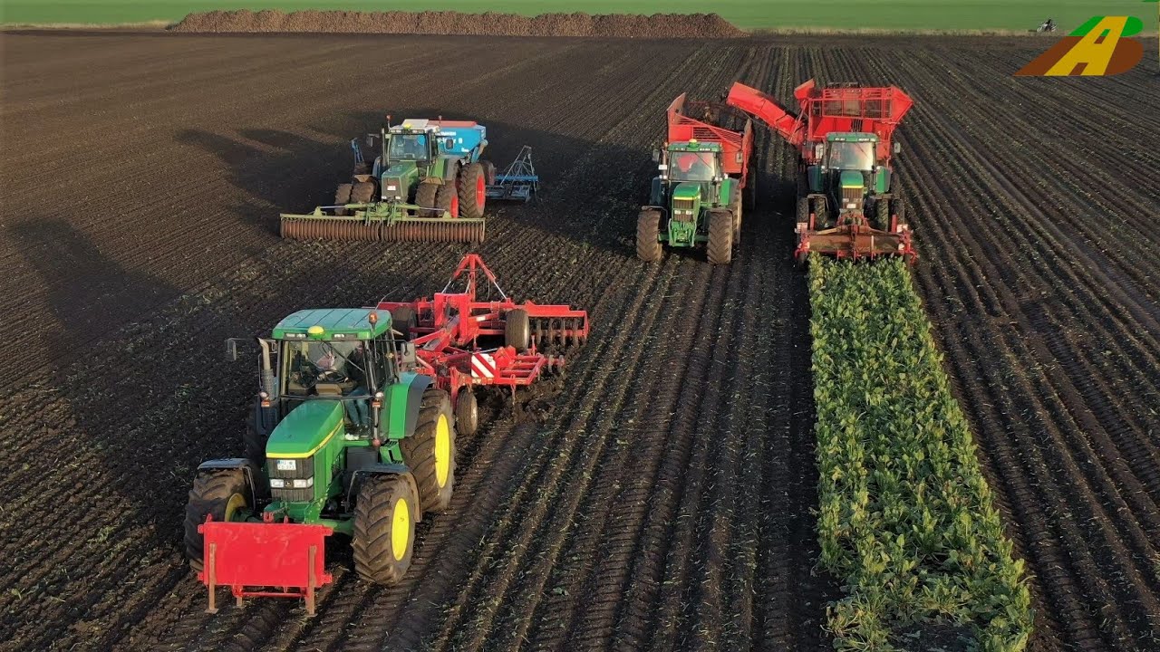 Rübenernte 2022 Vollernter GRIMME REXOR, JD Traktor Zuckerrüben roden Lohnunternehmer Landwirtschaft