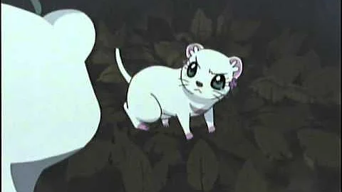 しあわせソウのオコジョさん