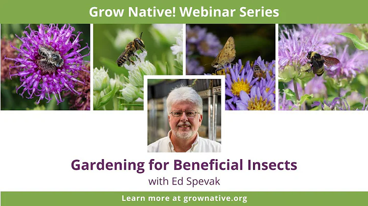 Grow Native! Webinar: Gardening for Beneficial Ins...