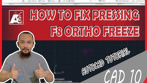 How to fix pressing f8 freeze in AutoCAD