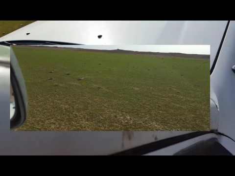 شيلة طاح المطر