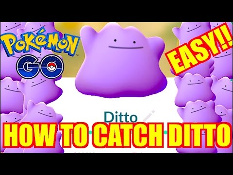 How to Catch a Ditto in Pokemon Go