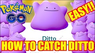 NEW TRICK ☆ HOW TO CATCH DITTO IN POKÉMON GO! ☆ HOW TO FIND