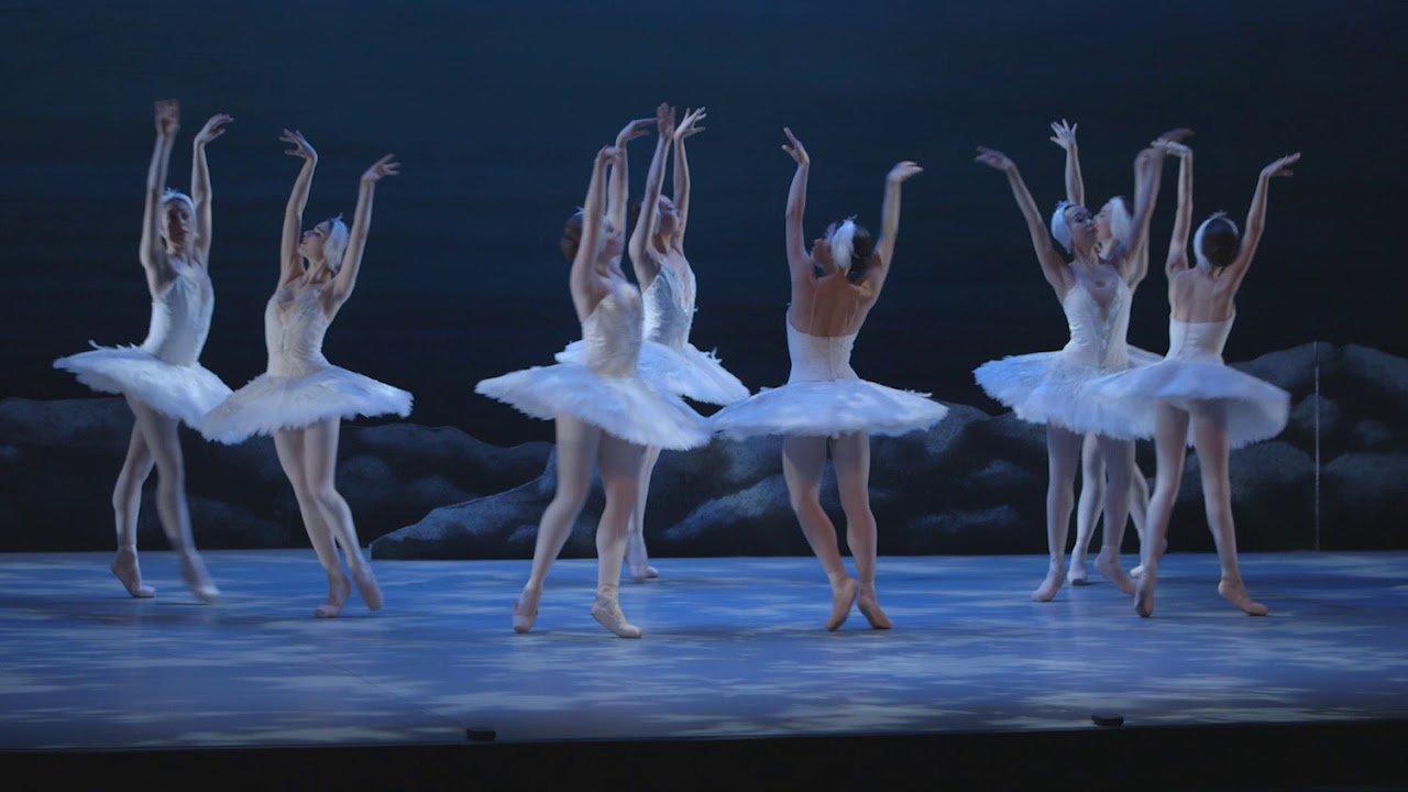 My First Ballet: Swan Lake – short swan excerpt | English National Ballet