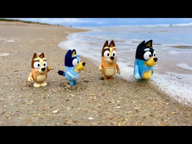 Bluey toys beach 🏖 adventure / Bluey sand 