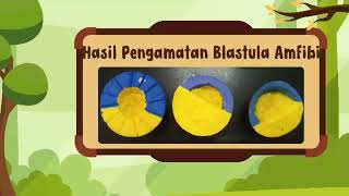 KELOMPOK 5 PENGAMATAN GRASTULA DAN BLASTULA