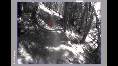 DAVIS Dynamic and Active Pixel Vision Sensor recording from Telluride mountain biking