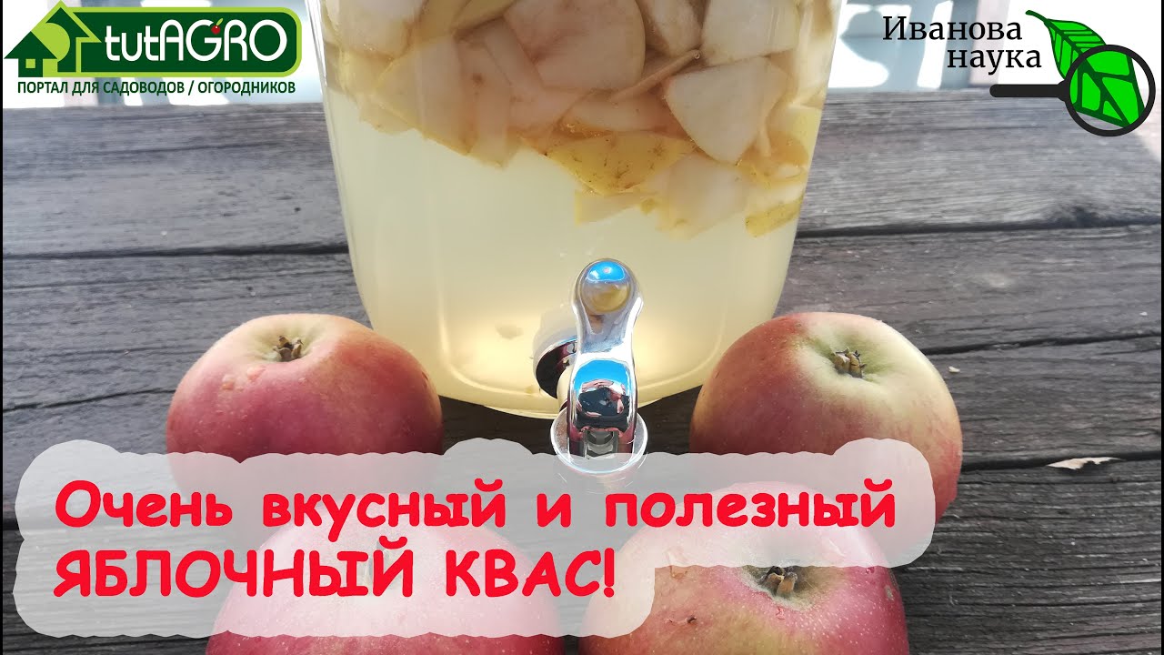 ⁣ОЧЕНЬ ВКУСНЫЙ ЯБЛОЧНЫЙ КВАС. 2 рецепта: с градусами и без. Готовим дома САМЫЙ ПОЛЕЗНЫЙ НАПИТОК ОСЕНИ