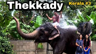 Elephant Shower | Munnar To Thekkady | ALARK SONI by Alark Soni 2,567 views 1 year ago 16 minutes