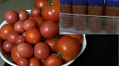 Updates On How To Ripen the Green Tomatoes Indoors