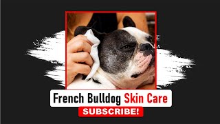 French Bulldog Skin | Frenchies Hub
