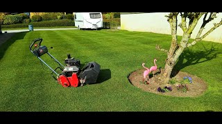 TRIM, EDGE and BRUSH before REEL MOVING the lawn