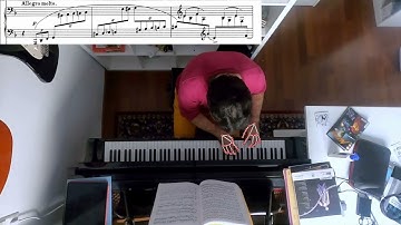 Rach3 Project: Cadenza Hand Pose Estimation Demo