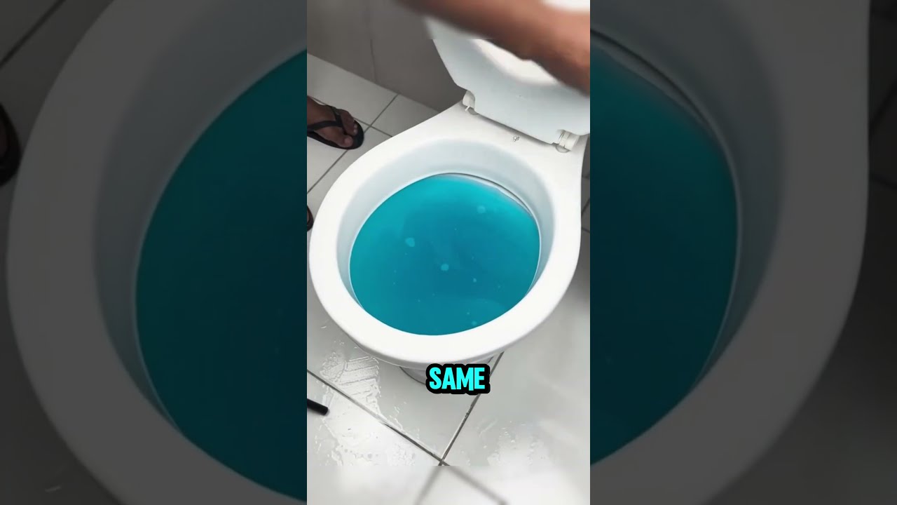 Plumbers Hide THIS From You Shorts
