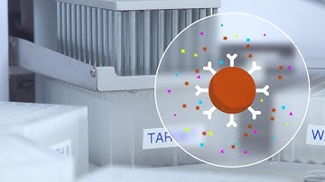 Automated Immunoprecipitation in 40 min using Dynabeads and KingFisher Flex