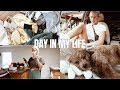 VLOG: puppy updates, comfy clothes unboxing, Florida for the summer??