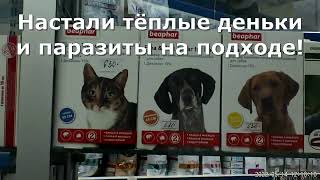 Ветаптека Бемби рекомендует! Май 2022