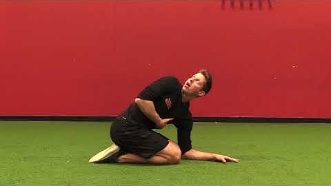 Quadruped T Spine Rotation