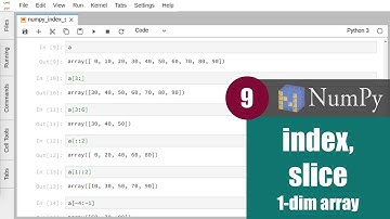 สอน NumPy: การ index และ slice ตัว ndarray แบบ 1 มิติ