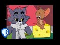 Tom  jerry  best friends fornever  classic cartoon compilation  wb kids