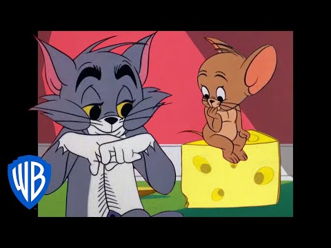 Video: Is tom en jerry werklik beste vriende?