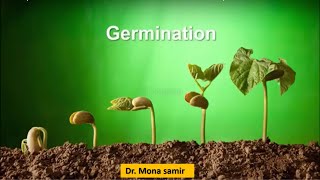 انبات البذور Lecture 4 Seed Germination / د. منى سمير