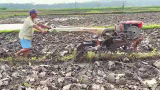 Paddy Machine: Reliable Walking Tractor for Wet Field Prep _FarmersLife _Shorts