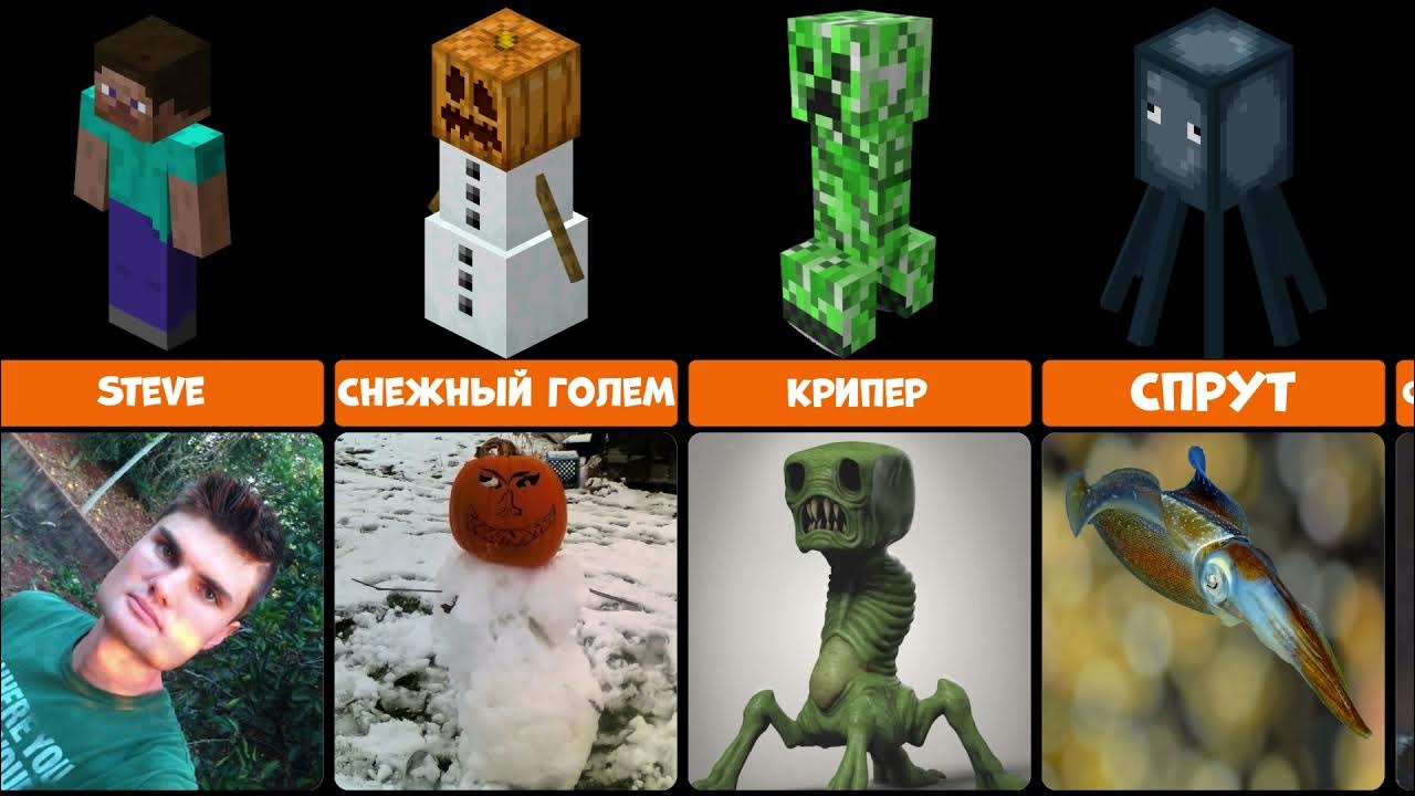Как выглядит в майнкрафте настоящей жизни Сравнение майнкрафт мобов в реальной жизни (2021) - YouTube