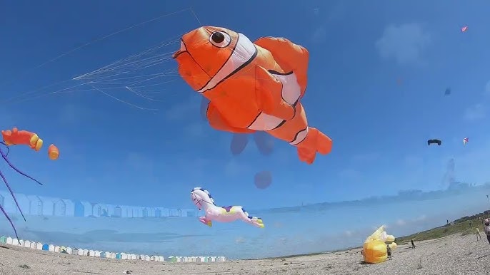 Faire du cerf-volant à Berck-sur-Mer - IMEARTH