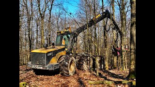 🌲Ecolog 590D *Sound* • Durchforstung / thinning • HarvesterAction • Logging video • Logmax 7000 🌲