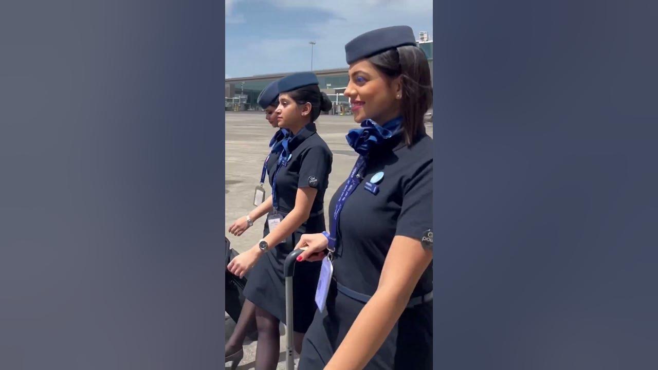 Cabin Crew Status of IndiGo 6E shorts reels status YouTube