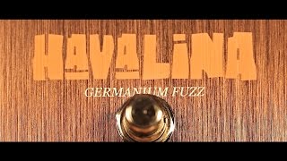 The Way Huge Havalina Germanium Fuzz - YouTube