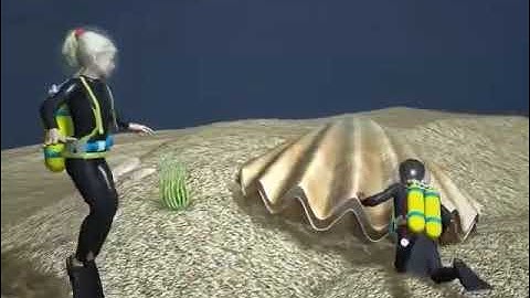 Quick Minds 3 Unit 5 Lesson 5 The Trap Story