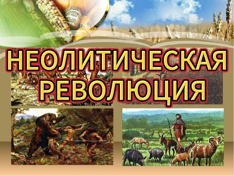 Неолитическая революция