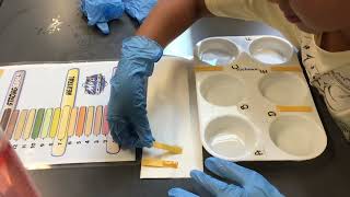 Mad Science — Crazy Chemworks: Testing pH Level